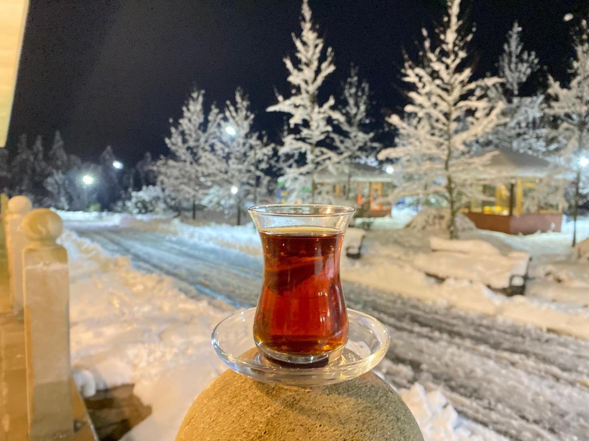 Hirkan Park Hotel Lenkeran Dış mekan fotoğraf