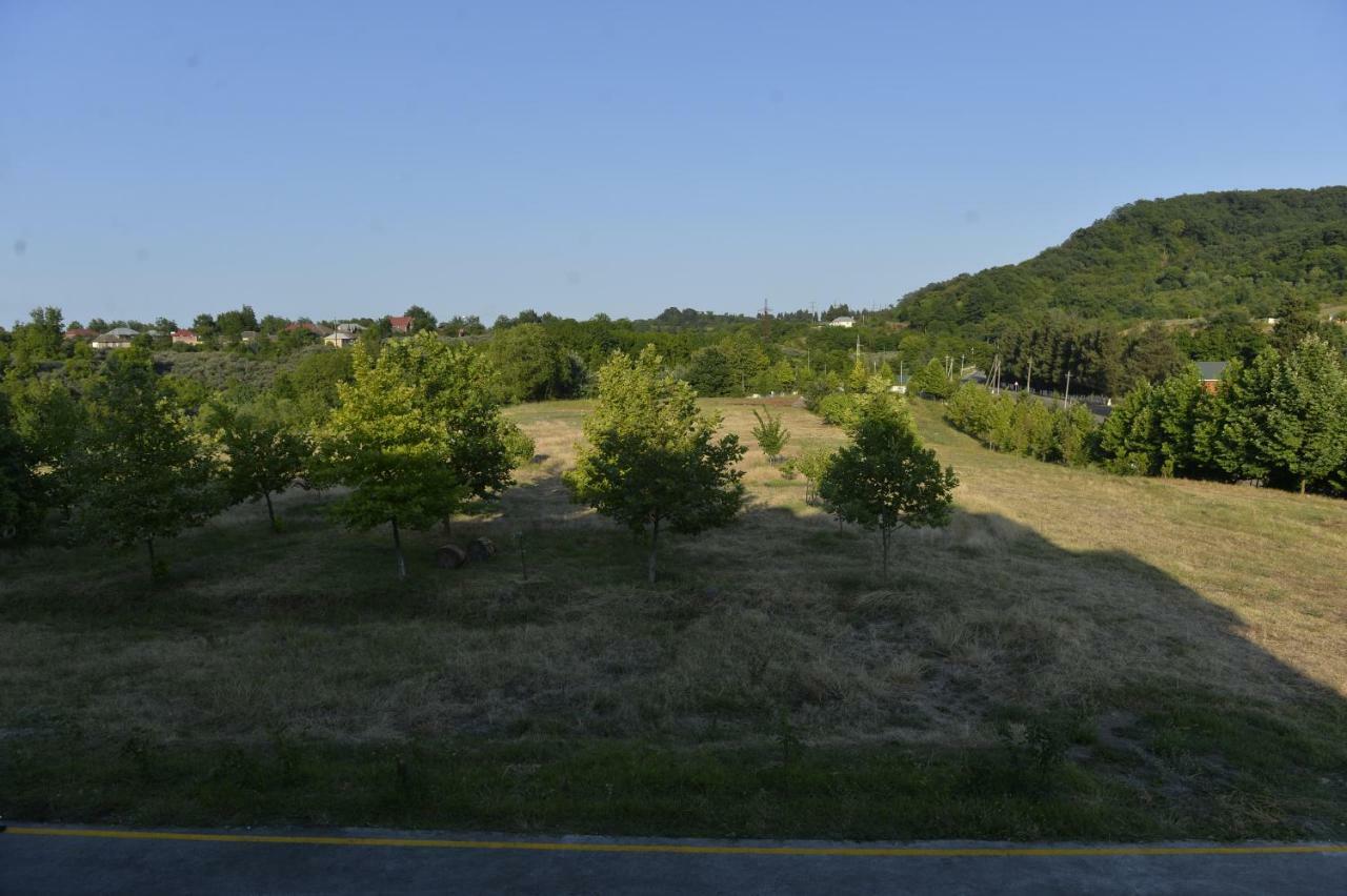 Hirkan Park Hotel Lenkeran Dış mekan fotoğraf